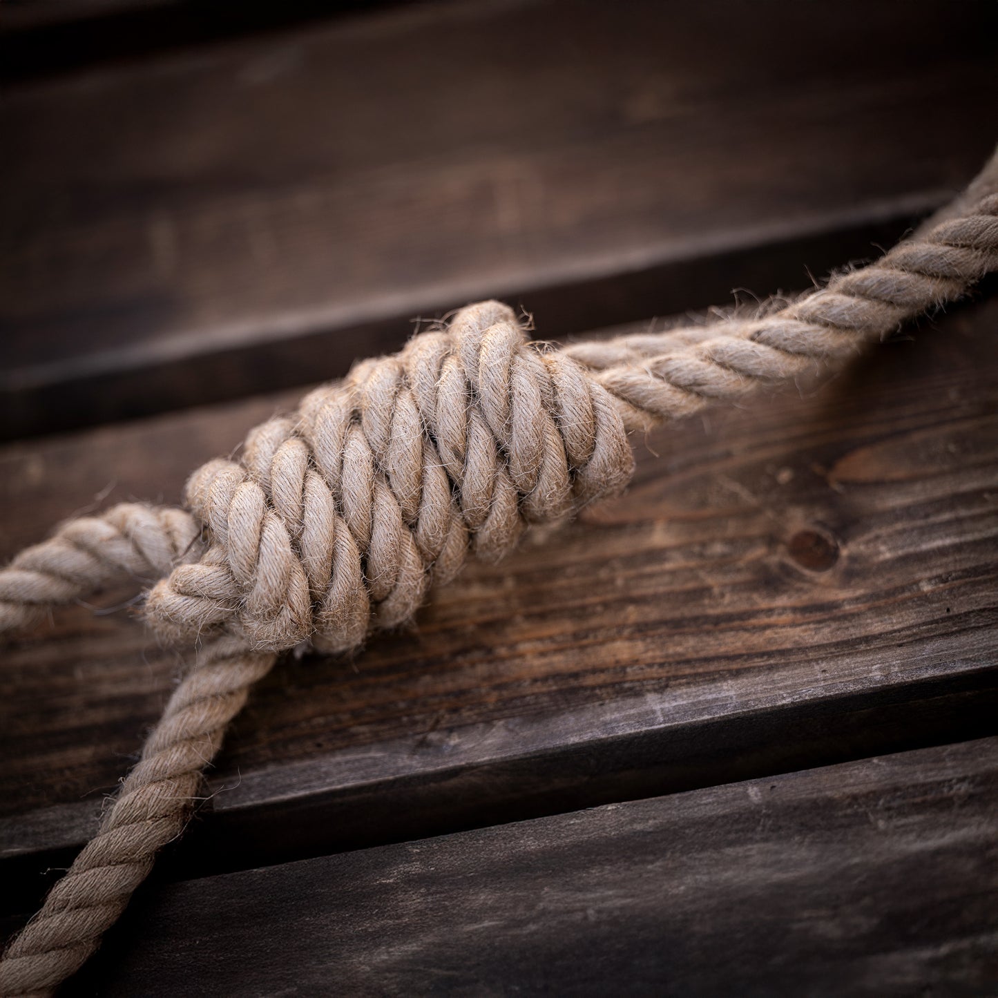 ROPE REBEL | Konopné přetahovadlo pro psy