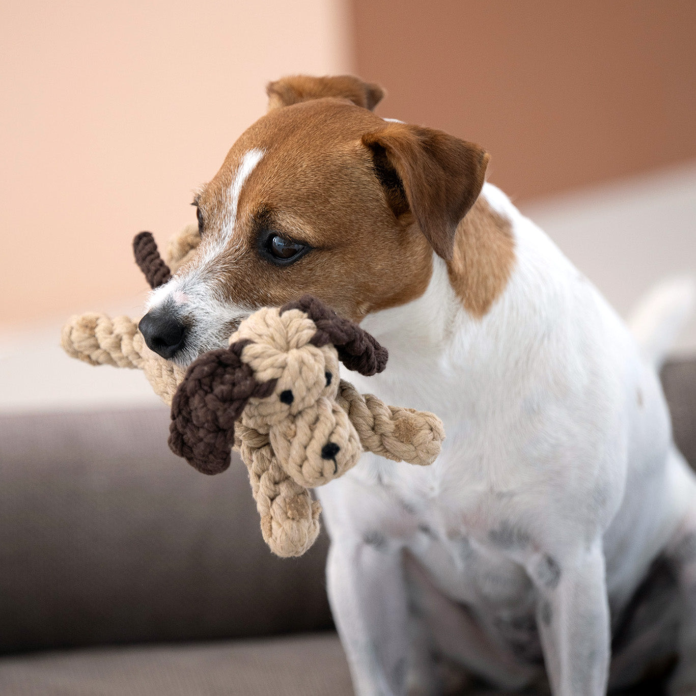 DOGGY | Plyšová hračka pro psy
