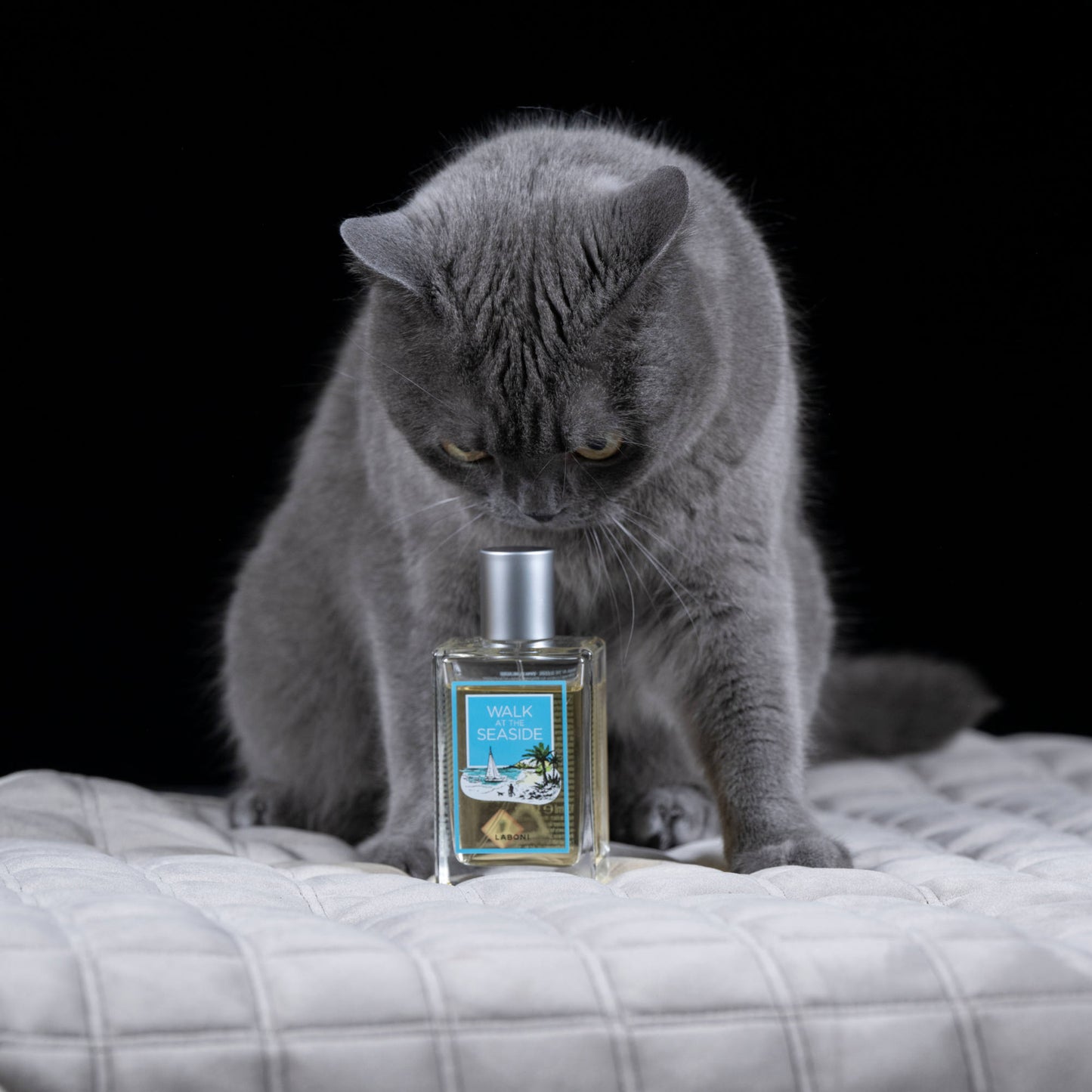 Neutralizační vůně Procházka u moře | 100 ml